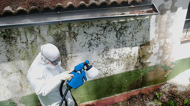 Top rated local Mold Inspection And Testing specialists in Garland, NC